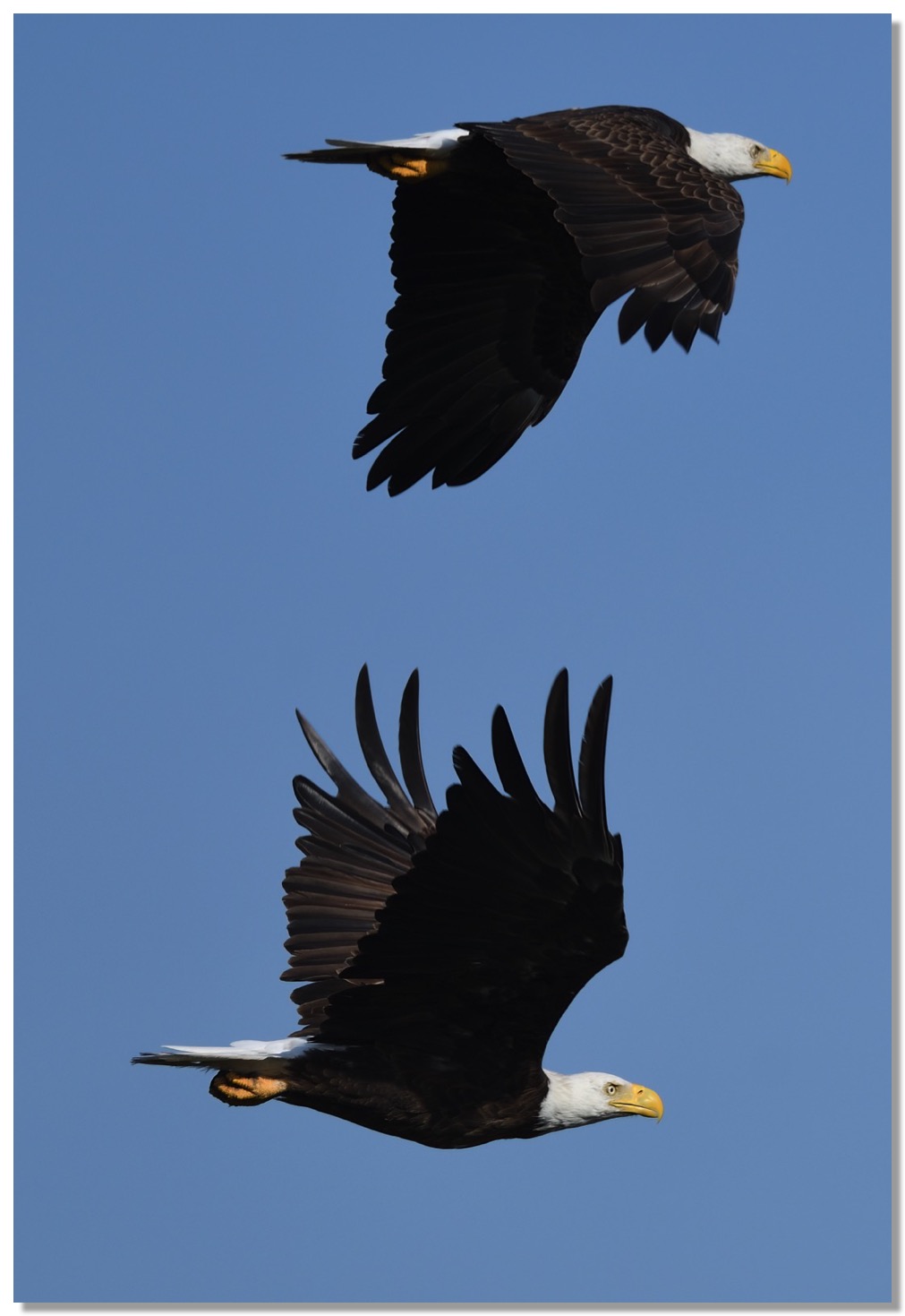 DSC_8290-DeNoiseAI-low-light