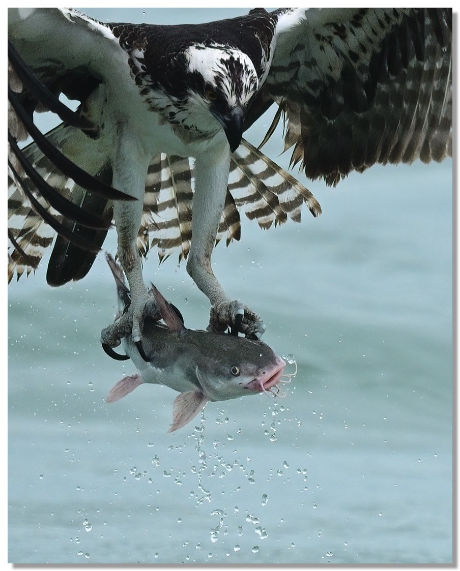 DSC_1255_01-DeNoiseAI-clear