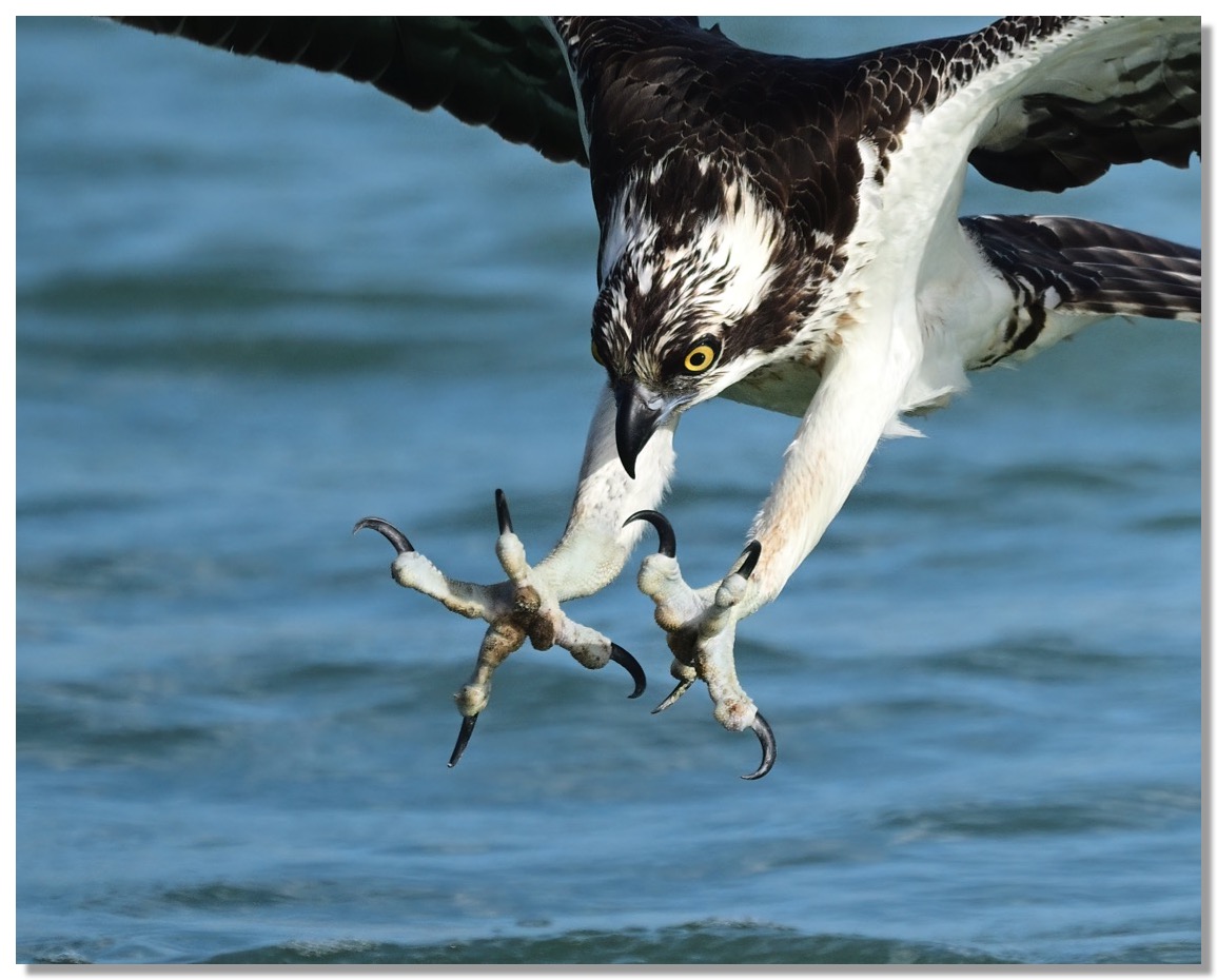 DSC_2548-DeNoiseAI-clear